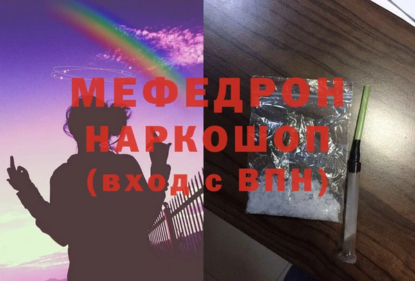 индика Богородицк